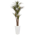 6.5' Giant Yucca Tree in White Planter UV Rest (Indr/Outdr) by Nearly Natural