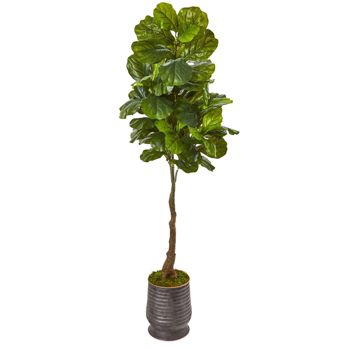 69" Fiddle Leaf Tree in Ribbed Metal Planter (Real Touch) by Nearly Natural