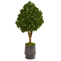 49" Tea Leaf Tree in Metal Planter UV Resit (Indoor/Outdoor) by Nearly Natural