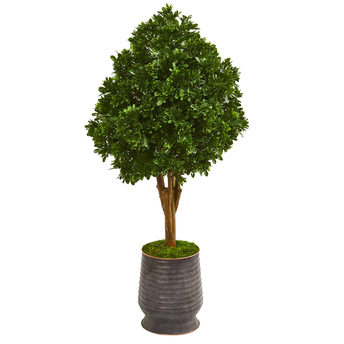 49" Tea Leaf Tree in Metal Planter UV Resit (Indoor/Outdoor) by Nearly Natural