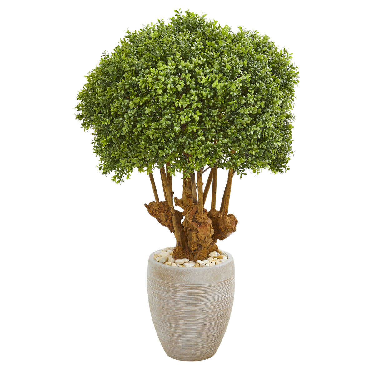 41" Boxwood Topiary Tree in Planter (Indoor/Outdoor) by Nearly Natural