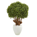 41" Boxwood Topiary Tree in White Planter (Indoor/Outdoor) by Nearly Natural