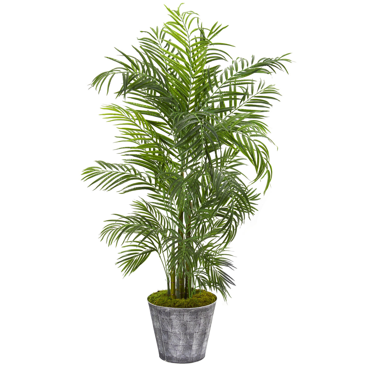 63" Areca Palm Tree in Planter UV Resistant (Indoor/Outdoor) by Nearly Natural