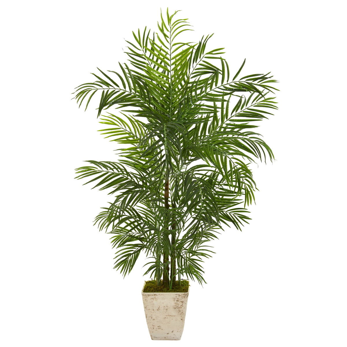 63" Areca Palm Tree in Planter UV Resistant (Indoor/Outdoor) by Nearly Natural