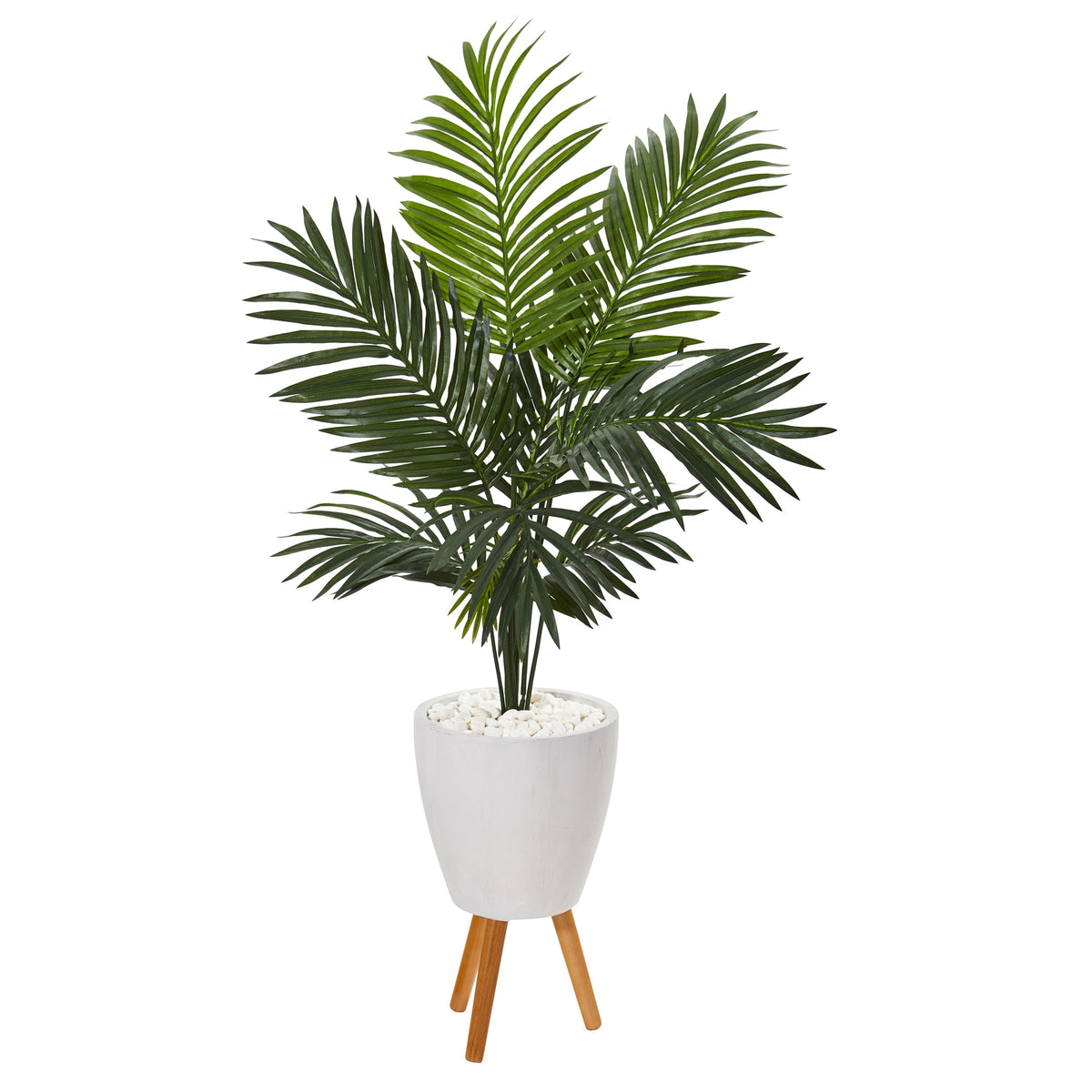 61" Paradise Palm Tree in White Planter with Stand by Nearly Natural