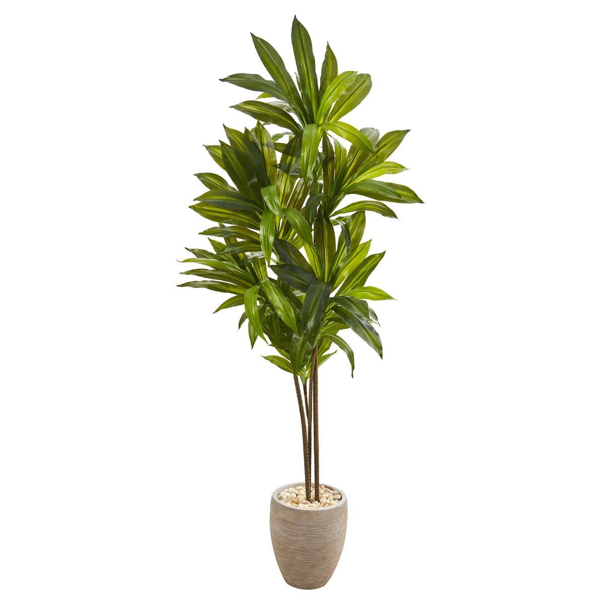 68" Dracaena Plant in Sand Colored Planter (Real Touch) by Nearly Natural