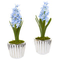 13" Hyacinth Arrangement in White Vase (Set of 2) by Nearly Natural