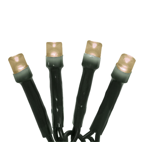 100 LED Battery Operated String Lights | Warm White