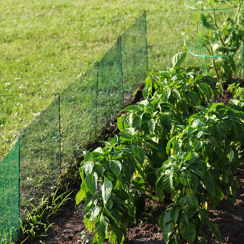 Pacific Accents Expandable Modular Garden Fencing System 2.0
