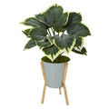28" Variegated Hosta Plant in Green Planter with Stand by Nearly Natural