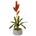 24" Tropical Bromeliad Plant in Bowl with Gold Trimming by Nearly Natural