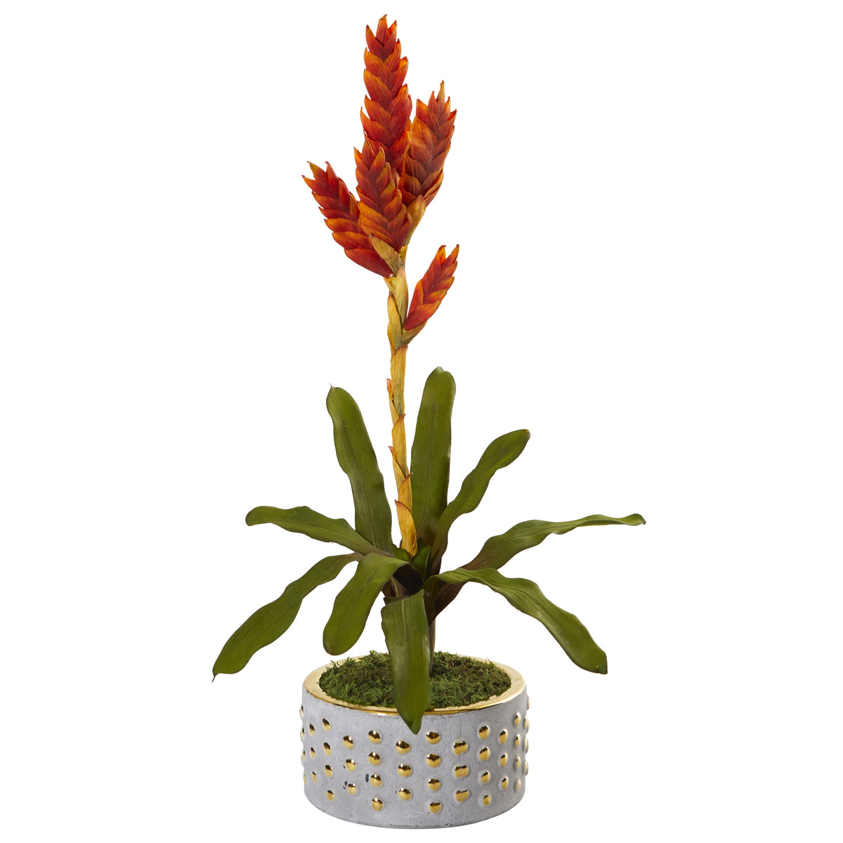 24" Tropical Bromeliad Plant in Bowl with Gold Trimming by Nearly Natural