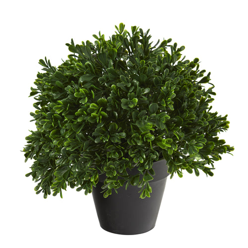 10" Boxwood Topiary Plant UV Resistant (Indoor/Outdoor) by Nearly Natural