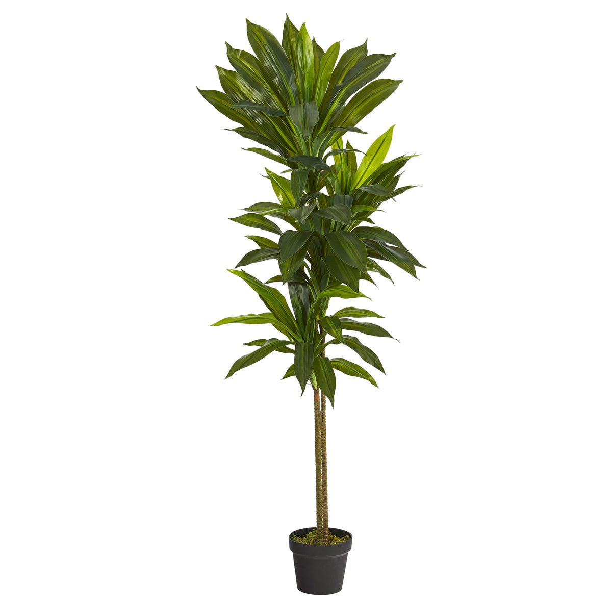 56" Dracaena Artificial Plant (Real Touch) by Nearly Natural