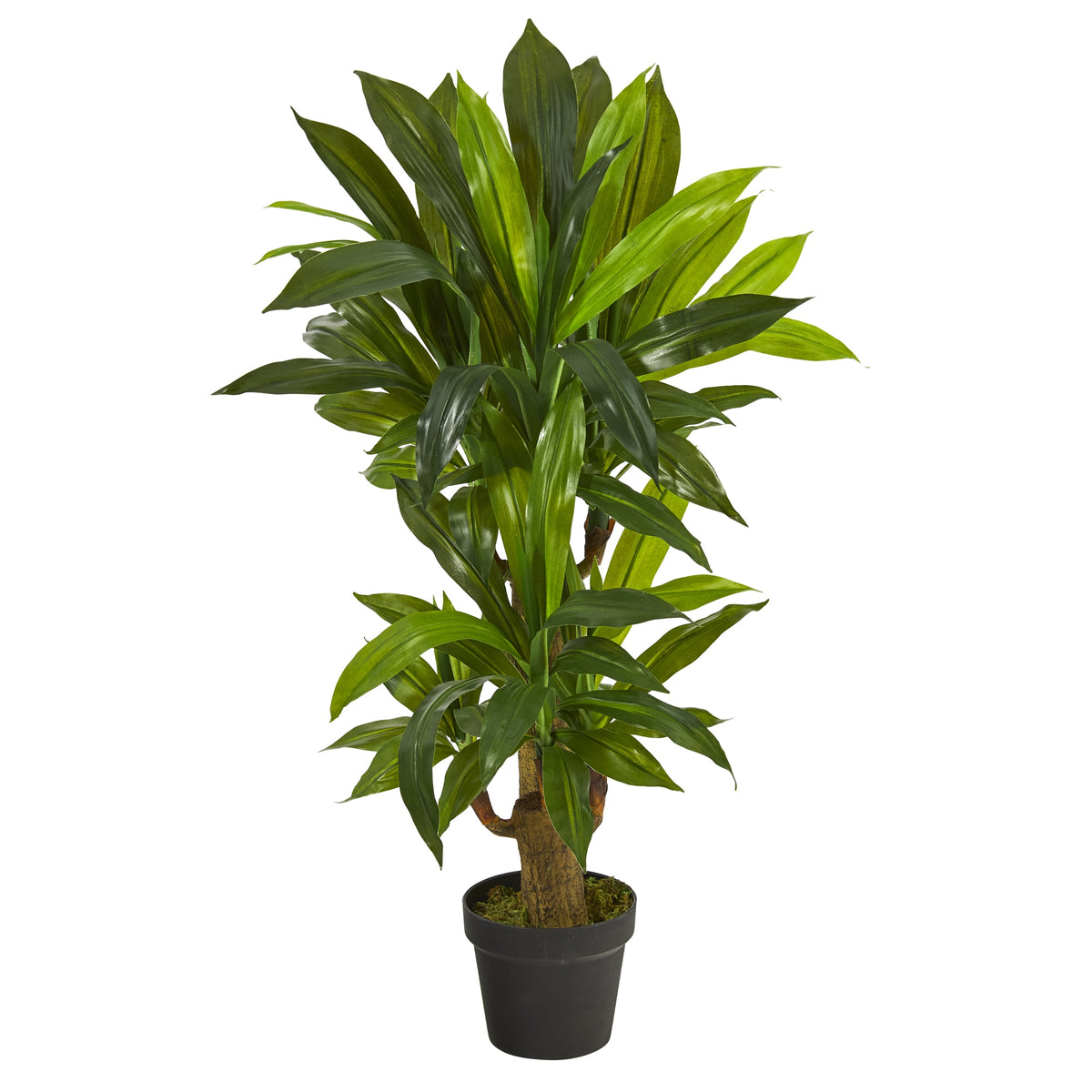 3' Corn Stalk Dracaena Artificial Plant (Real Touch) by Nearly Natural