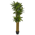 6' Corn Stalk Dracaena Artificial Plant (Real Touch) by Nearly Natural
