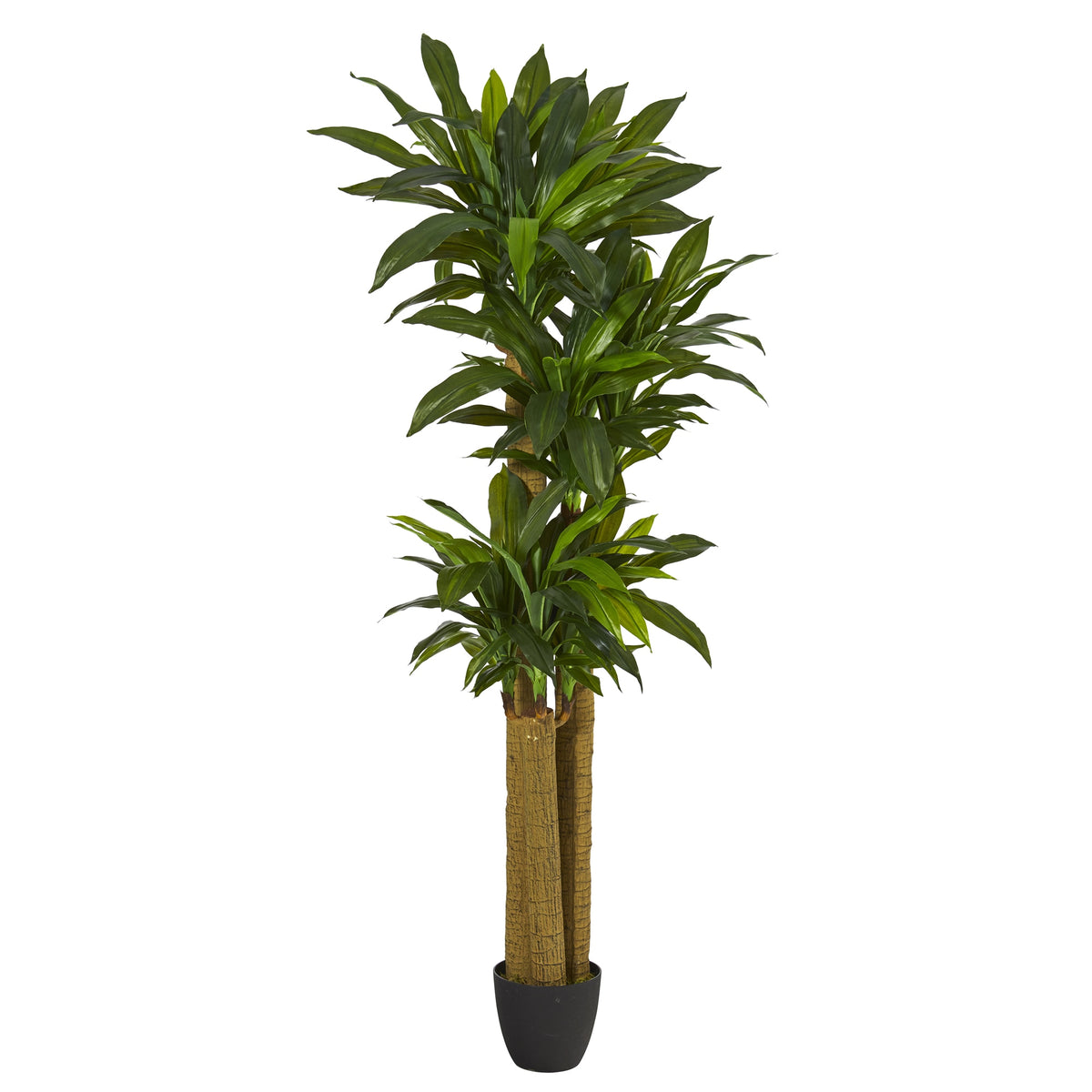 6' Corn Stalk Dracaena Artificial Plant (Real Touch) by Nearly Natural