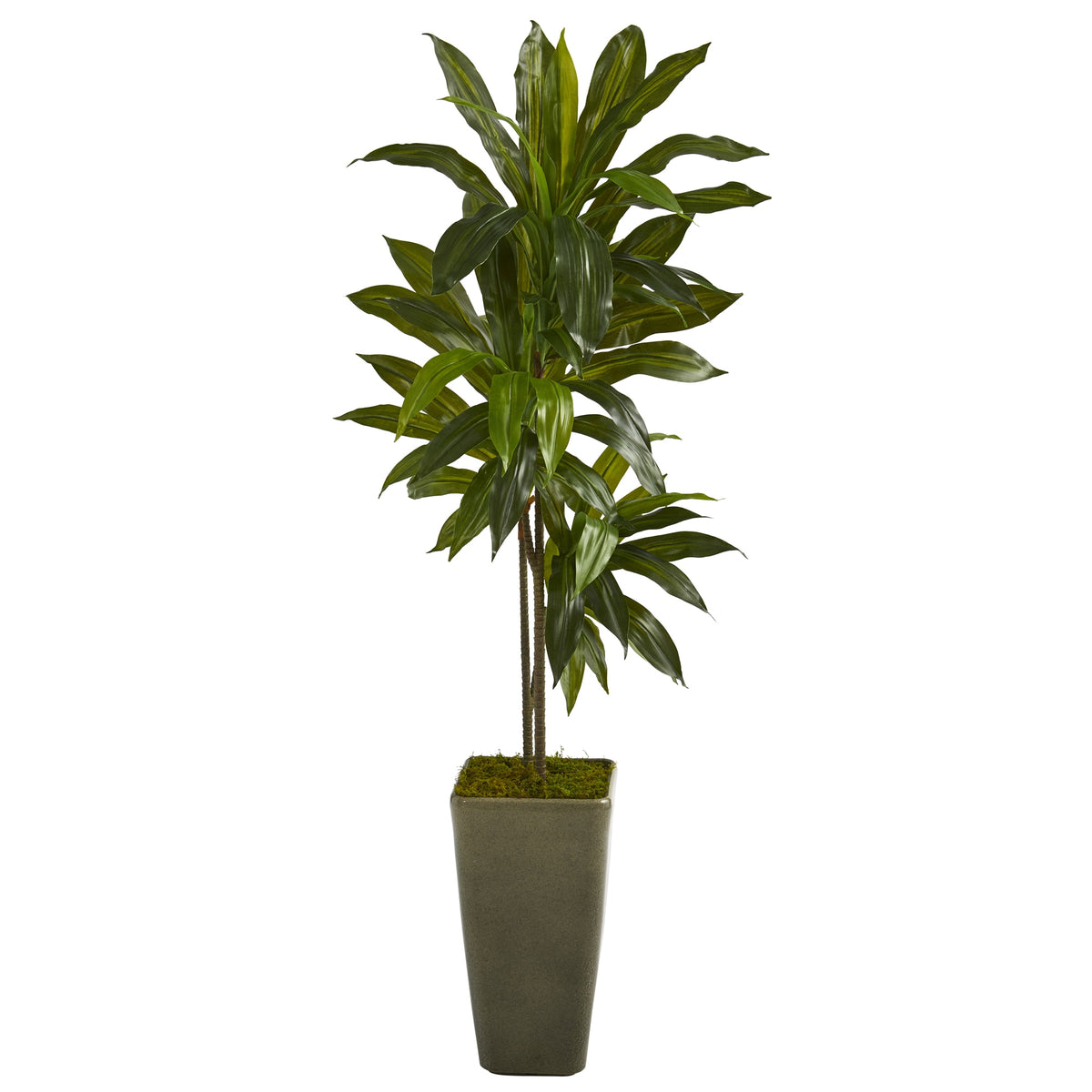 4.5' Dracaena Artificial Plant in Green Planter (Real Touch) by Nearly Natural