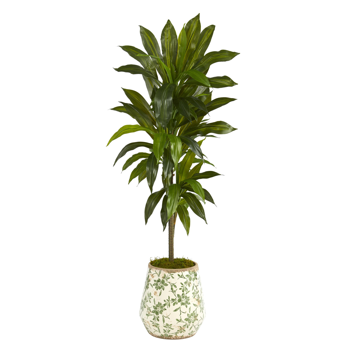 4' Dracaena Plant in Flower Print Planter (Real Touch) by Nearly Natural