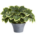 23" Variegated Hosta Artificial Plant in Gray Planter by Nearly Natural
