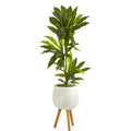 46" Dracaena Plant in White Planter with Stand (Real Touch) by Nearly Natural