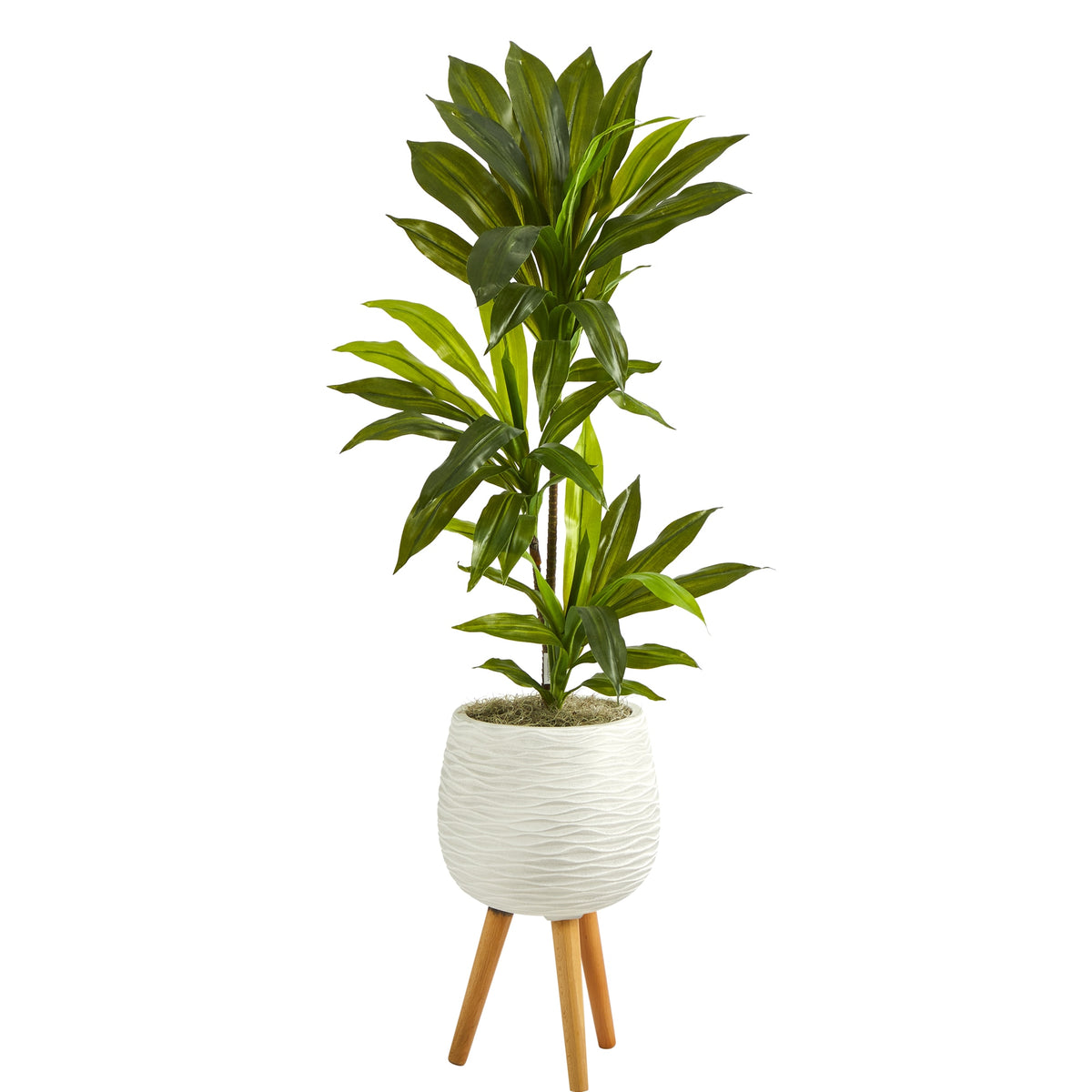 46" Dracaena Plant in White Planter with Stand (Real Touch) by Nearly Natural