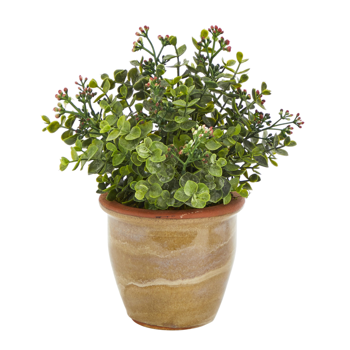 10" Eucalyptus and Sedum Artificial Plant in Ceramic Planter by Nearly Natural