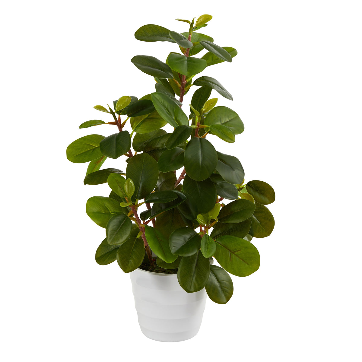 16" Peperomia Artificial Plant in Decorative Planter by Nearly Natural