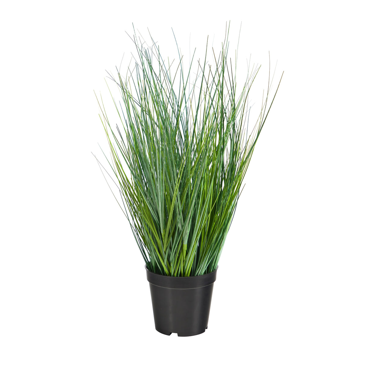 21" Onion Grass Artificial Plant by Nearly Natural