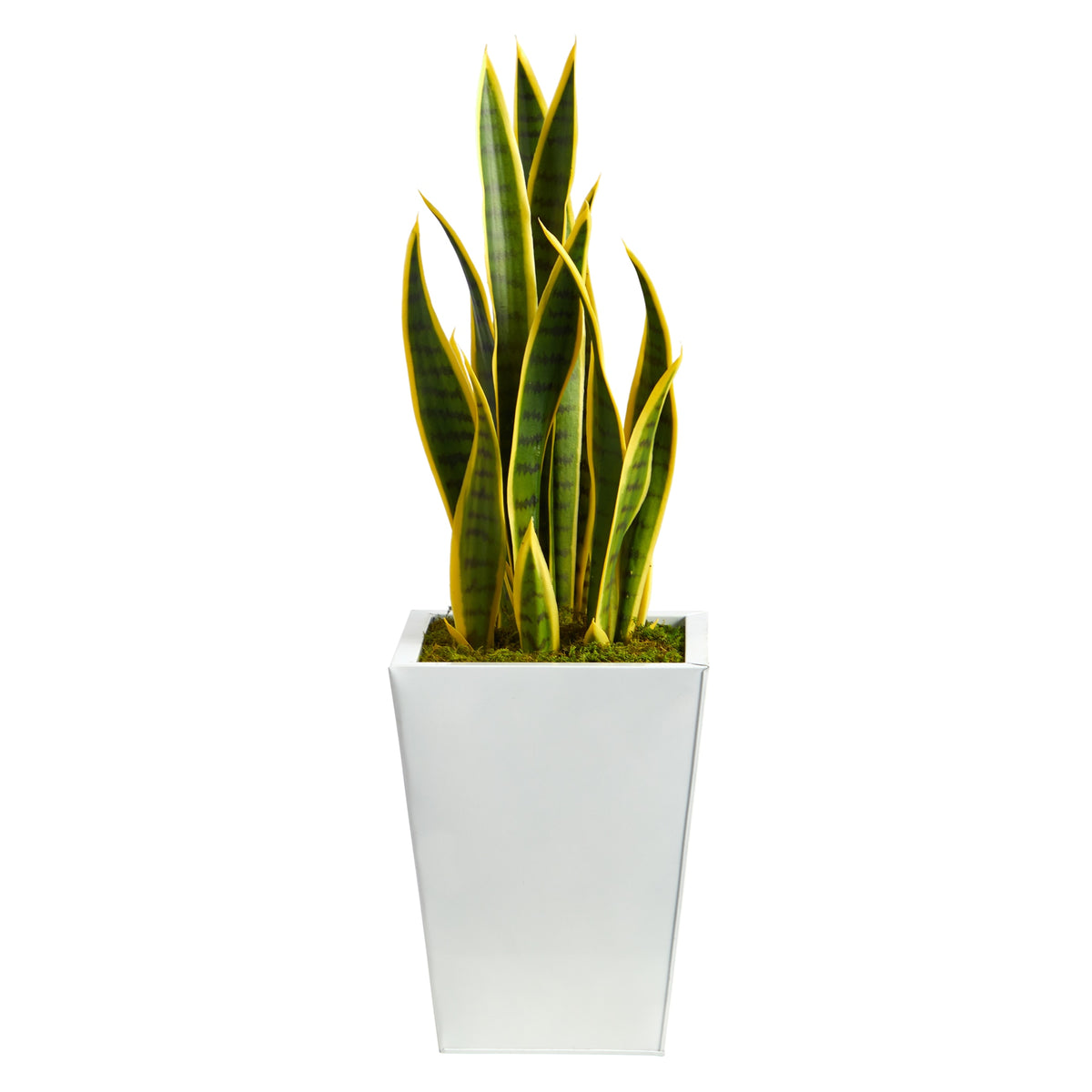 31" Sansevieria Artificial Plant in Black Metal Planter by Nearly Natural in White