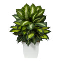 2' Golden Dieffenbachia Plant in White Metal Planter by Nearly Natural