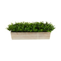 19" Eucalyptus Artificial Plant in Decorative Planter by Nearly Natural