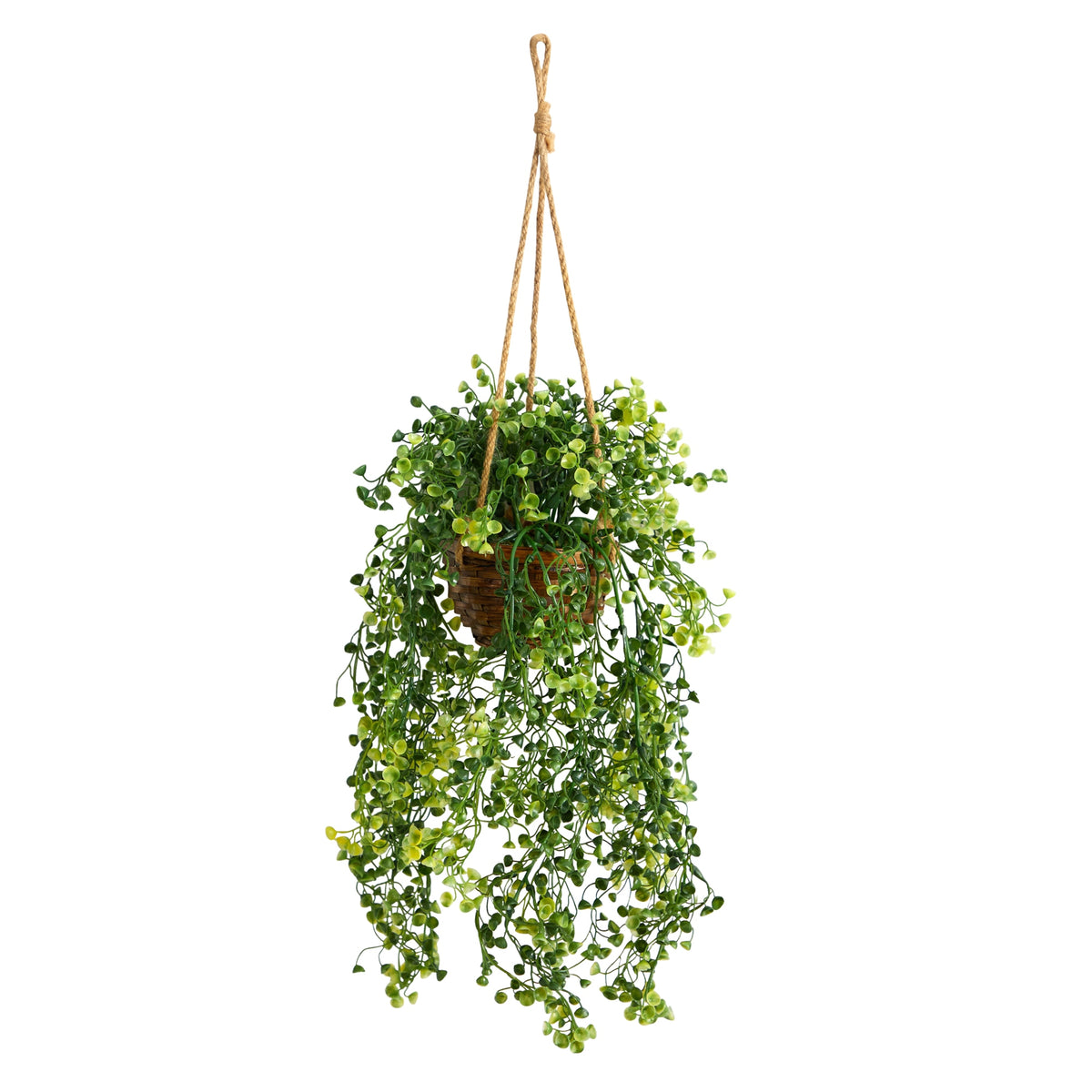 20" Baby Tear Artificial Plant in Hanging Basket by Nearly Natural