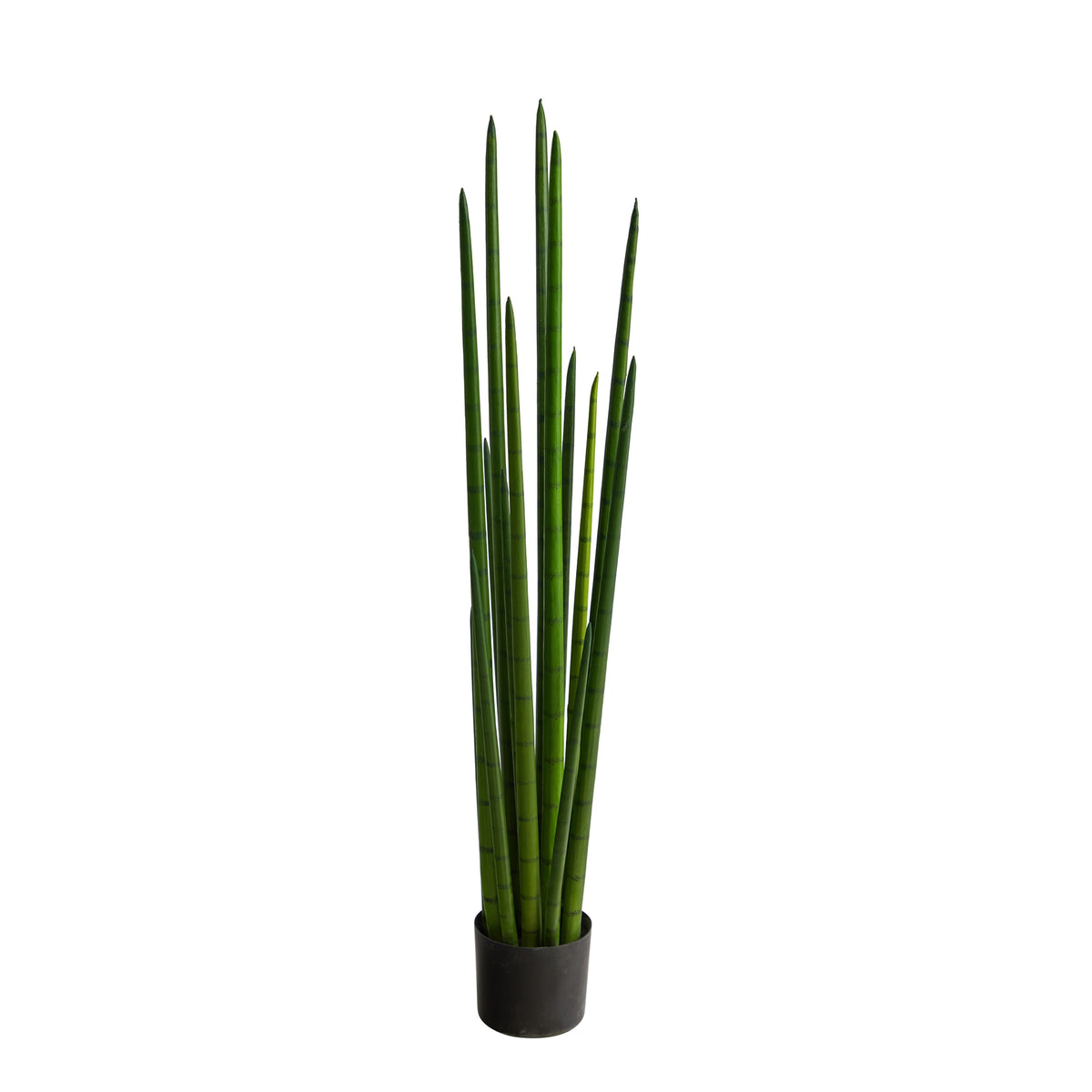 4' Sansevieria Snake Artificial Plant by Nearly Natural