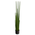 5' Sansevieria Snake Artificial Plant by Nearly Natural