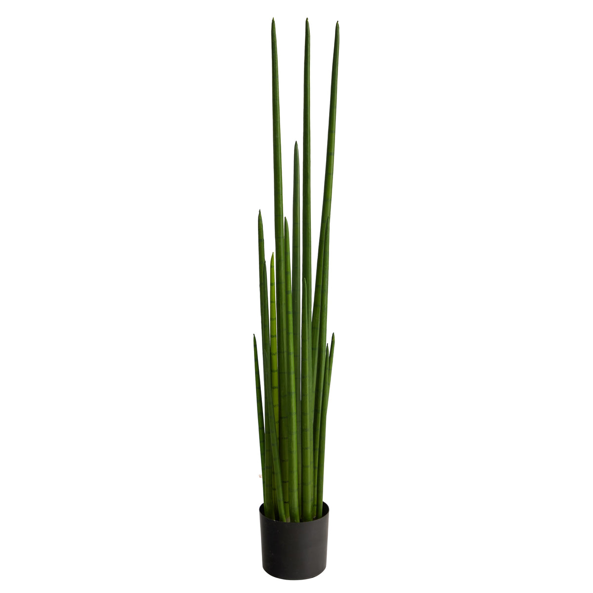 5' Sansevieria Snake Artificial Plant by Nearly Natural