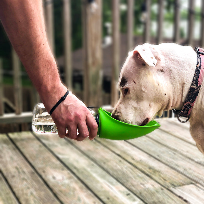 Fold-A-Bowl Portable Pet Water Bottle & Bowl