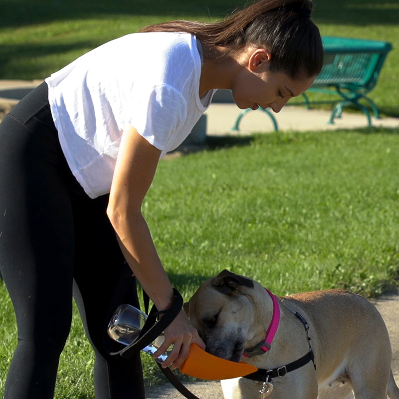 Fold-A-Bowl Portable Pet Water Bottle & Bowl
