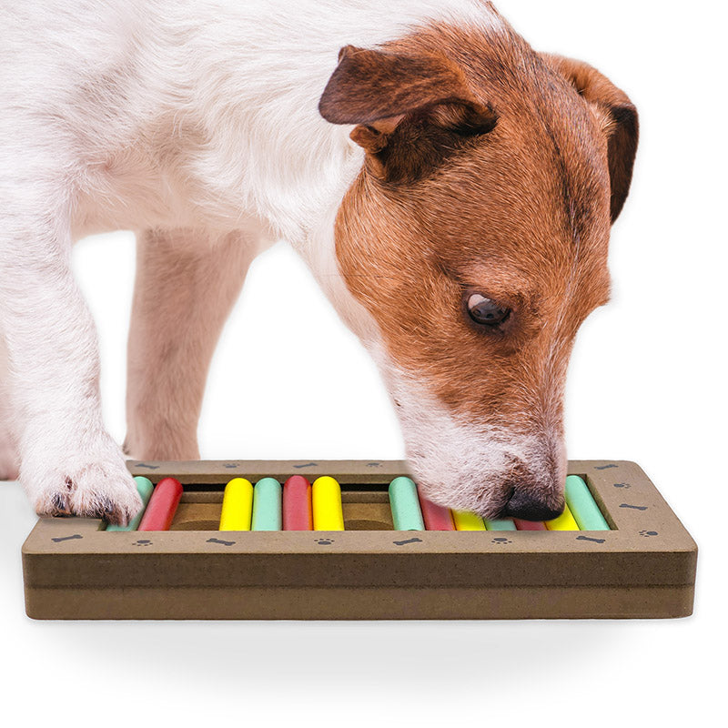 Brainiac Rollie-Pollie™ Treat Dispensing Pet Toy