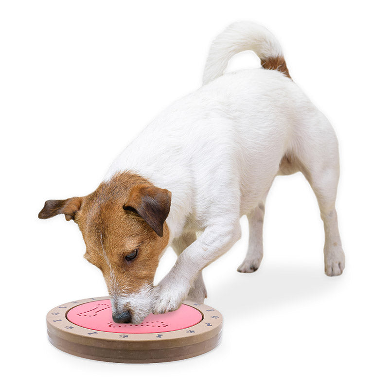Brainiac Spin-O-Rama™ Treat Dispensing Pet Toy