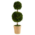 2.5' Preserved Boxwood Double Ball Topiary Tree in Planter by Nearly Natural