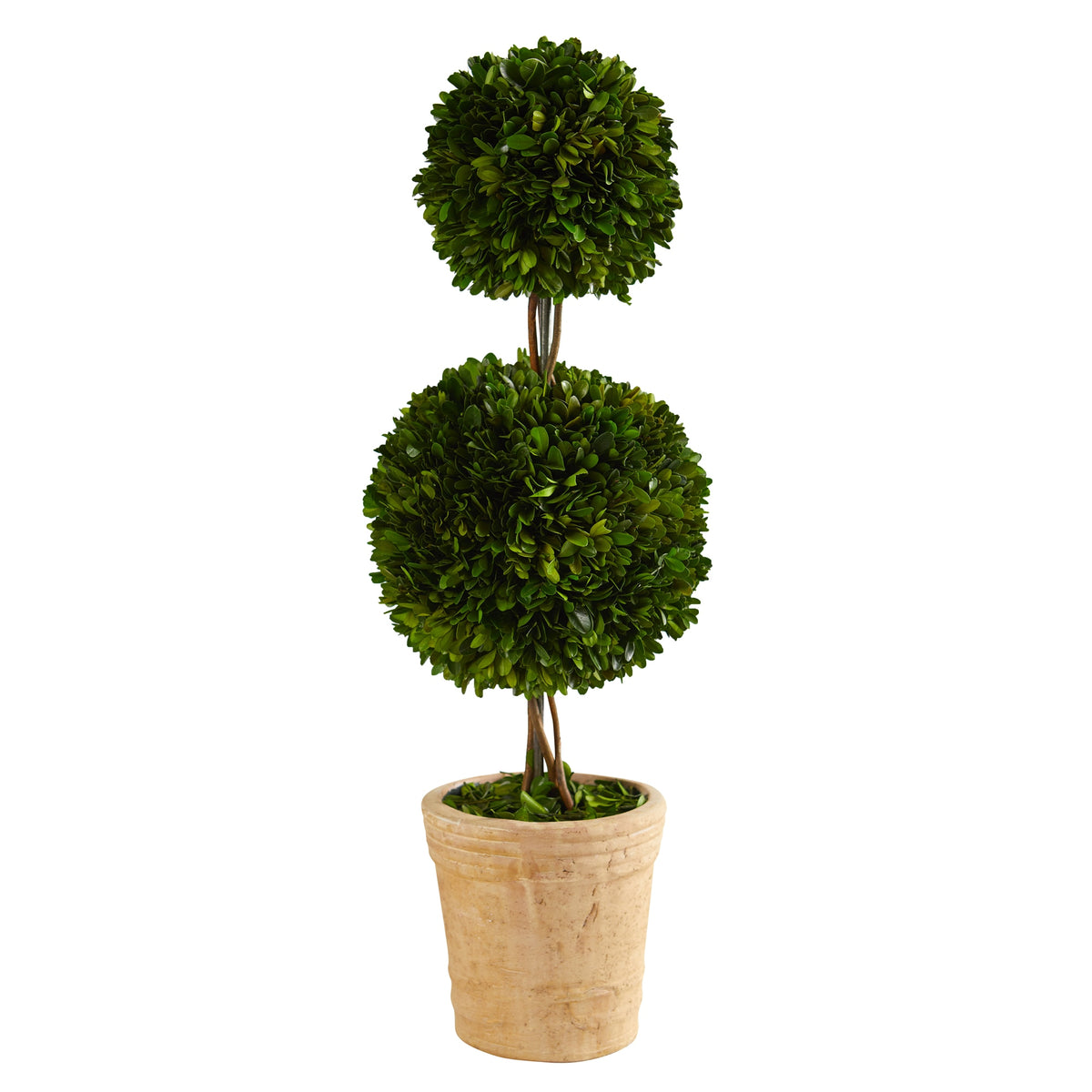 2.5' Preserved Boxwood Double Ball Topiary Tree in Planter by Nearly Natural