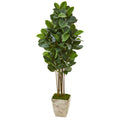 63" Rubber Leaf Artificial Tree in Country White Planter by Nearly Natural