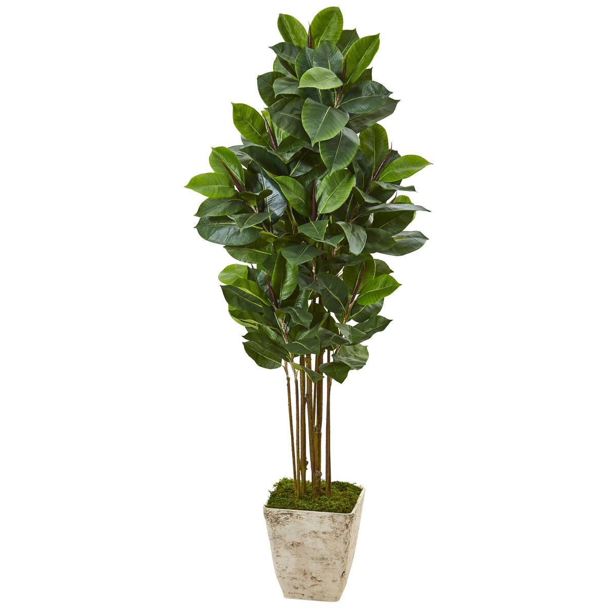 63" Rubber Leaf Artificial Tree in Country White Planter by Nearly Natural