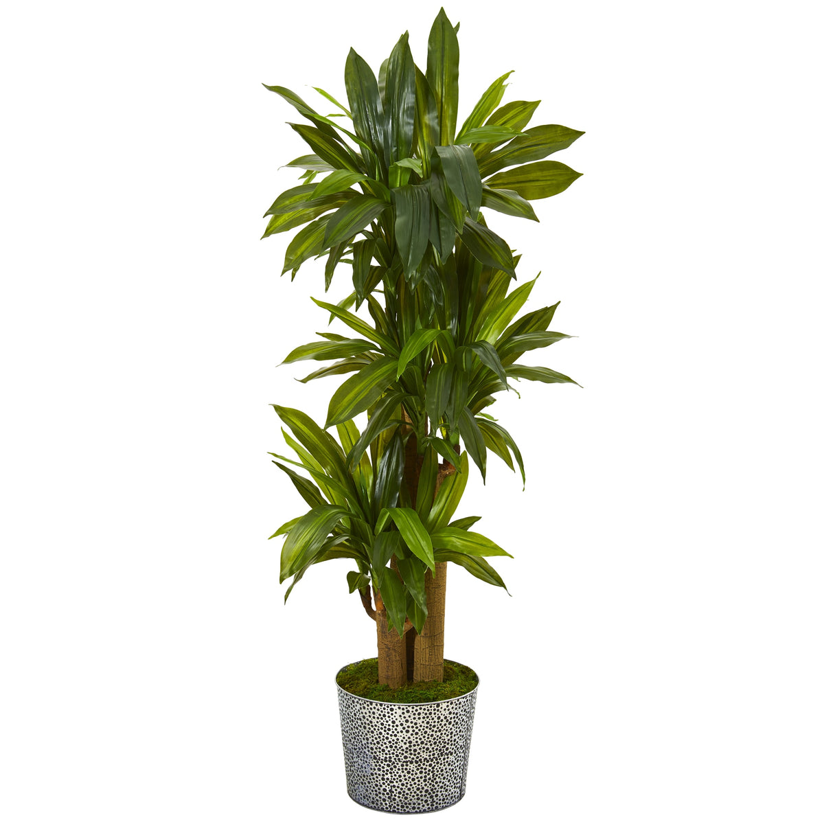 58" Corn Stalk Dracaena Plant in Tin Planter (Real Touch) by Nearly Natural