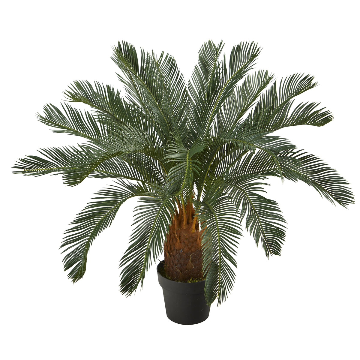 3' Cycas Artificial Tree by Nearly Natural