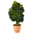39" Schefflera Tree in Terra-Cotta Planter (Real Touch) by Nearly Natural