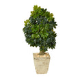 3.5' Schefflera Tree in Country White Planter (Real Touch) by Nearly Natural