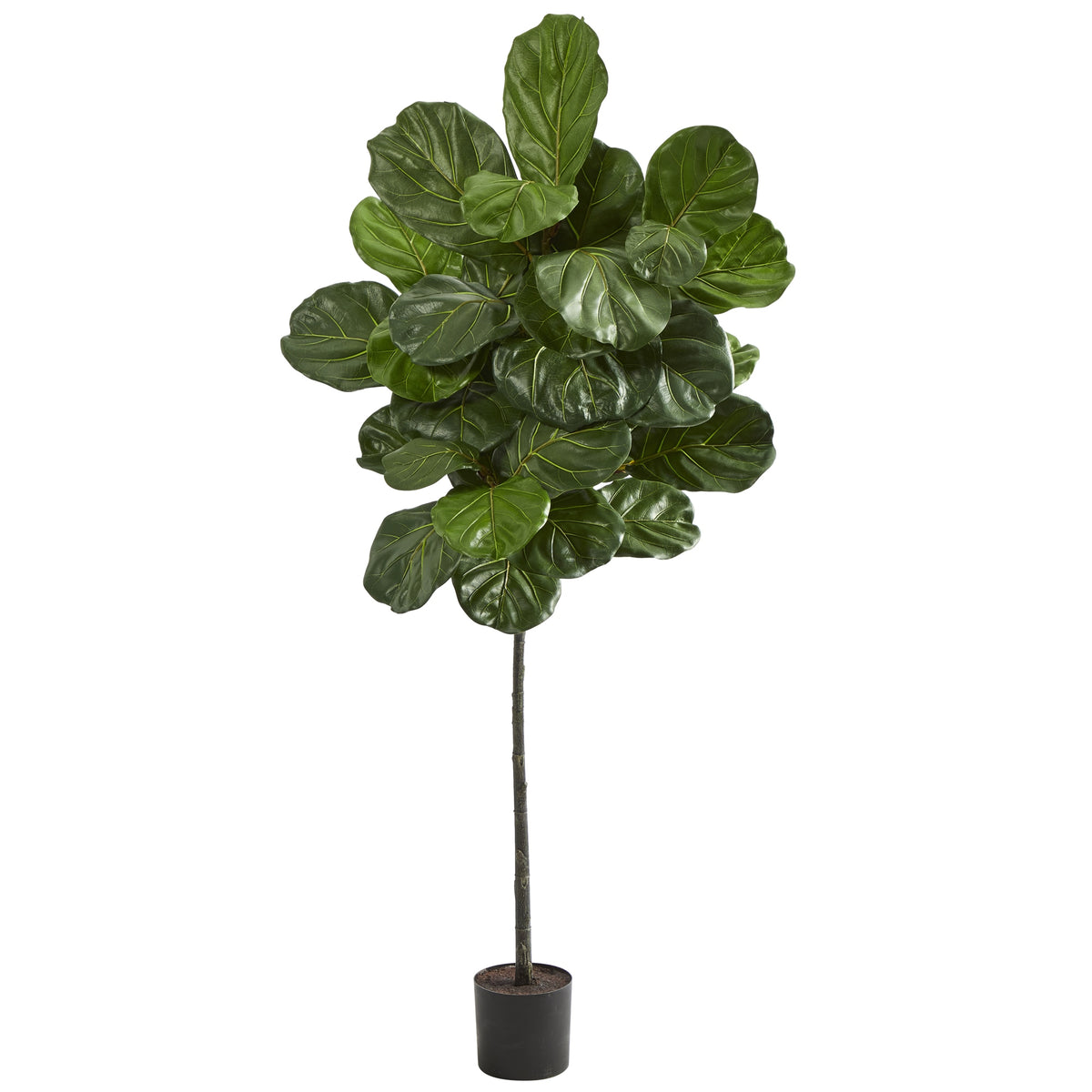 5.5' Fiddle Leaf Artificial Tree by Nearly Natural