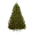 6' Cambridge Flat Back Xmas Tree w/350 MF LEDs and 642 Tips by Nearly Natural